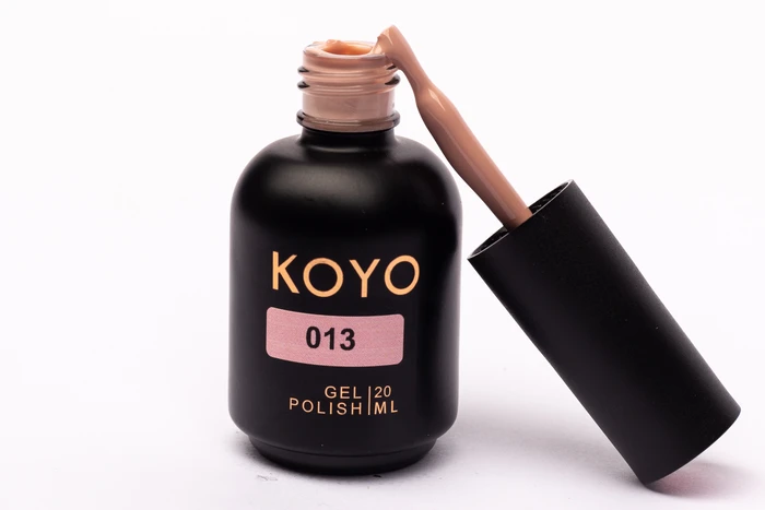 013 KOYO