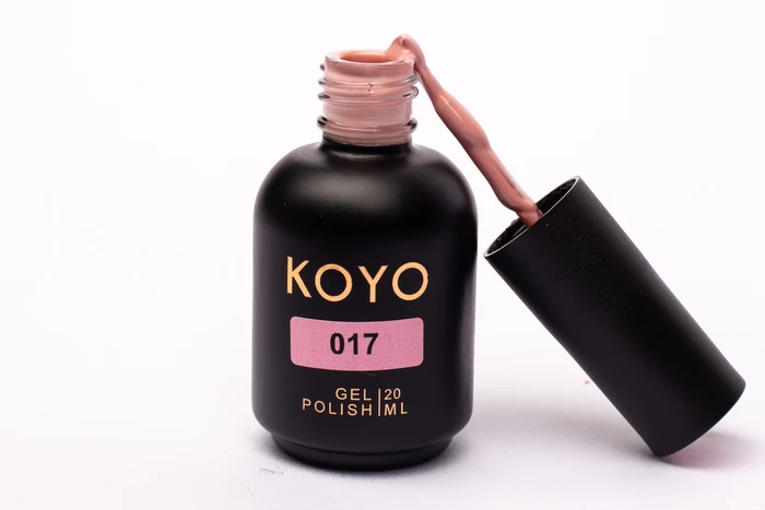 017 KOYO