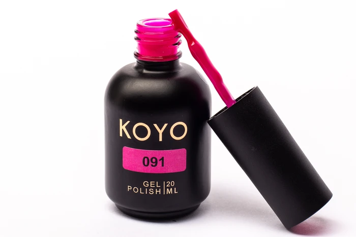 091 KOYO