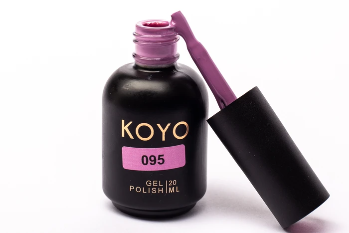 095 KOYO