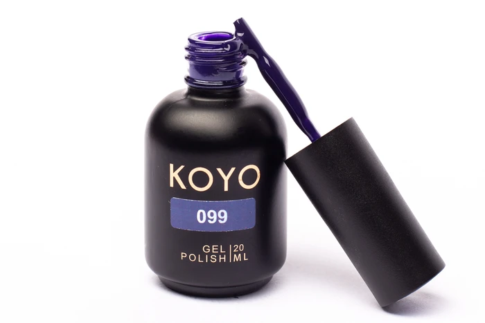 099 KOYO