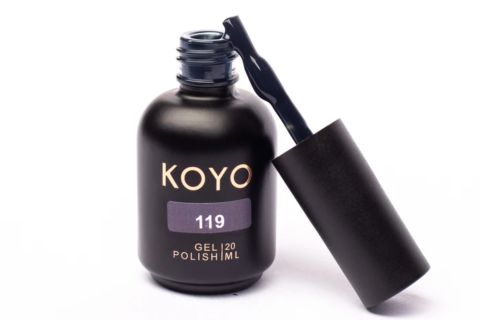 119 KOYO