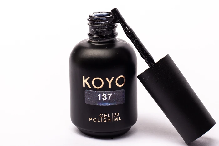 137 KOYO